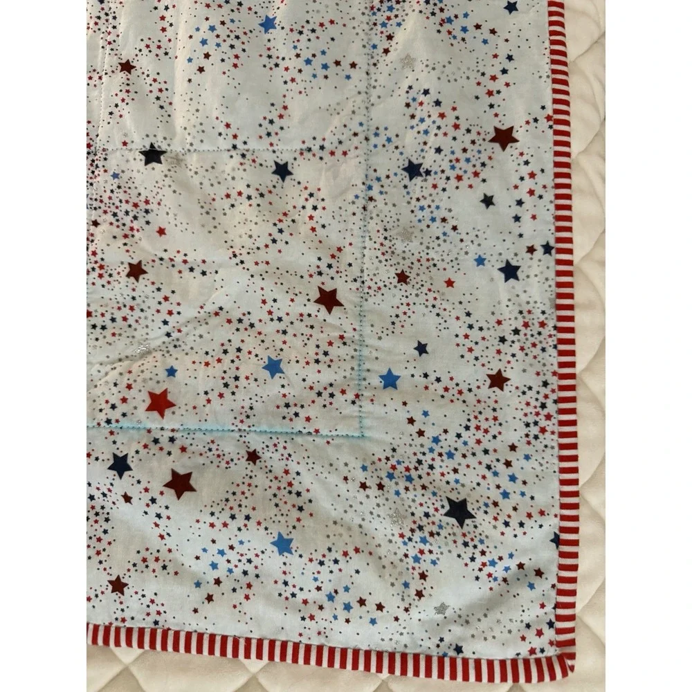 40in x 29in Dr. Seuss Cat in the Hat Patchwork Quilt Red/White/Blue Star Theme